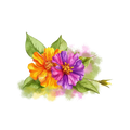Cera de abeja orgánica